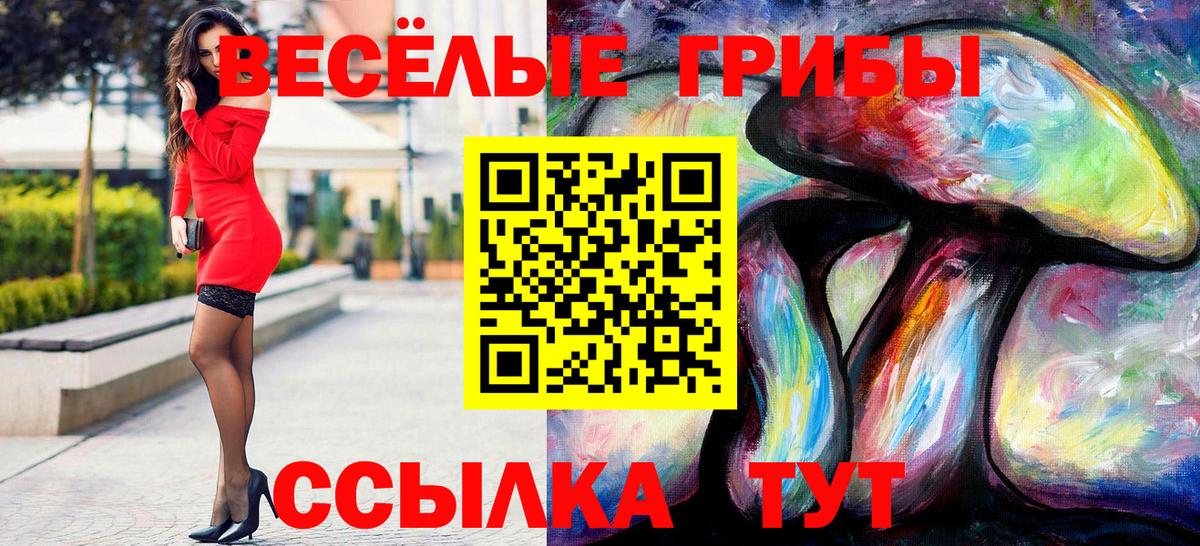 Псилоцибиновые грибы мицелий Кизилюрт