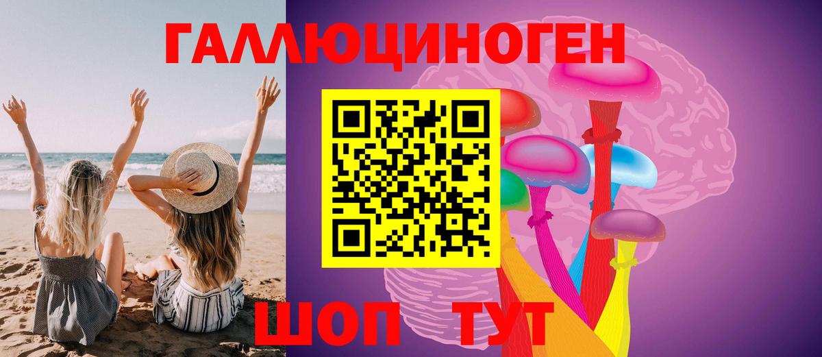 Кизилюрт  Псилоцибиновые грибы Cubensis  Вход с VPN 